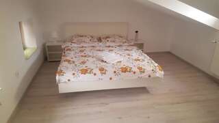 Гостевой дом Carul cu Flori Сибиу Small Double Room  with Shared Bathroom-1